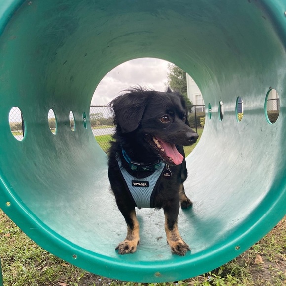 Meet your Posher, Ericka - Picture 2 of 2